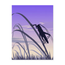 Grasshopper Postcard