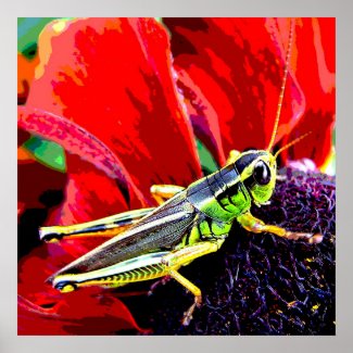 Grasshopper print