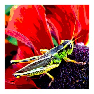 Grasshopper print