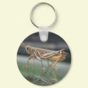 Grasshopper Reflection Keychain by estjohn Grasshopper Reflection Keychain