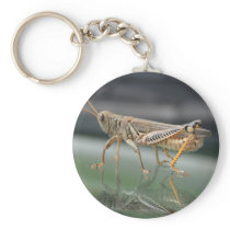 Grasshopper Reflection Keychain keychains