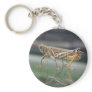 Grasshopper Reflection Keychain