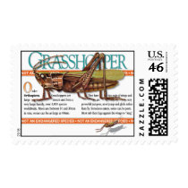 GRASSHOPPER STAMP