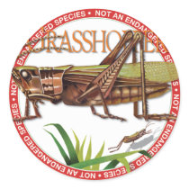 Grasshopper Sticker by calzonsin Grasshopper Sticker