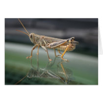 Grasshopperly Reflections Card