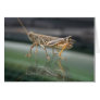 Grasshopperly Reflections Card