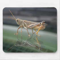 Grasshopperly Reflections Mousepad