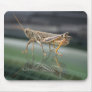 Grasshopperly Reflections Mousepad