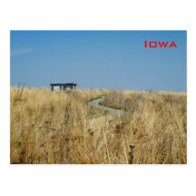 Grassland Post Cards