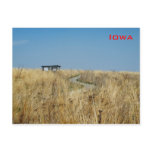 Grassland Post Cards