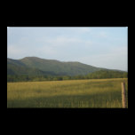 Grassy Field Canvas Prints