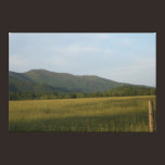 Grassy Field Canvas Prints