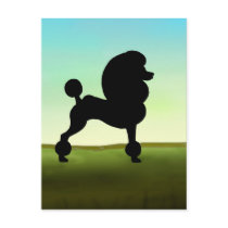 Grassy Field Standard Poodle postcards