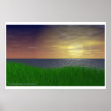 Grassy Sunset posters