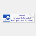 Gratitude Blue and White Flower bumper stickers