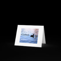 Gratitude. cards