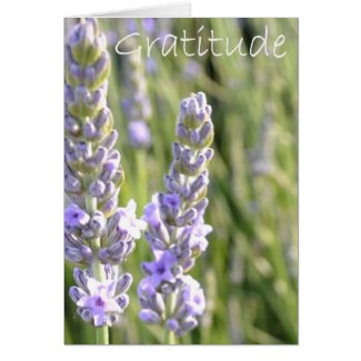 Gratitude card