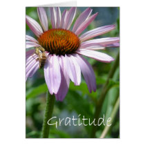 Gratitude cards