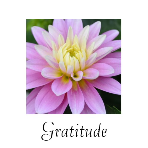 Gratitude Dahlia Card card