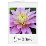 Gratitude Dahlia Card