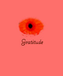 Gratitude floral art ladies Amer Apparel Tee t-shirts