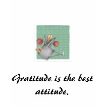 Gratitude is the best attitude. t-shirts