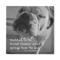 Gratitude is the fairest blossom magnets by CCRescue Gratitude is the fairest blossom magnets