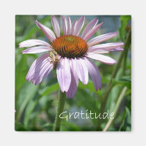 Gratitude magnets