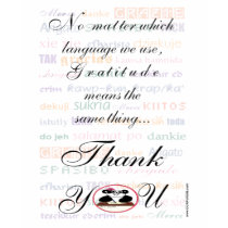 Gratitude means the same in any language t-shirts