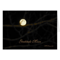 Gratitude Moon Card