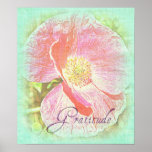 Gratitude Poppy Poster