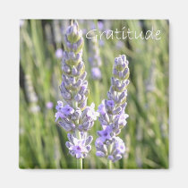 Gratitude magnets