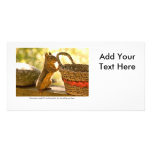 Gratitude Squirrel Photo Greeting Card