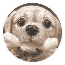 Gratitude stickers