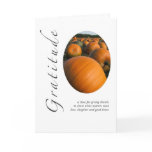 Gratitude Thanksgiving Pumpkins Greeting Card