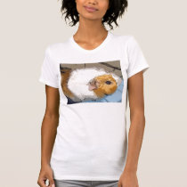 Gratitude t-shirts