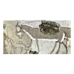 Grave Chamber Of An Unknown Scene, Donkey, Customized Photo Card