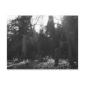 Gravestones IV postcards by MalouGeurts Gravestones IV postcards