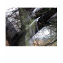 Graveyard Angel Blur with Trees Shirt