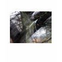 Graveyard Angel Blur with Trees Shirt