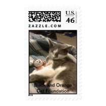 Gray and white cat w/her baby stamps