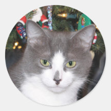 Gray and white Christmas kitty Sticker