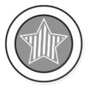 Gray and White Star Sticker