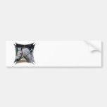 Gray Appaloosa Horse Bumper Sticker