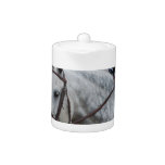 Gray Appaloosa Horse Teapot