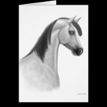 Gray Arabian Horse Card