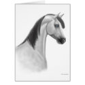 Gray Arabian Horse Card