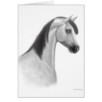 Gray Arabian Horse Card