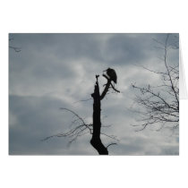 Gray Bird Silhouette cards