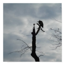Gray Bird Silhouette posters